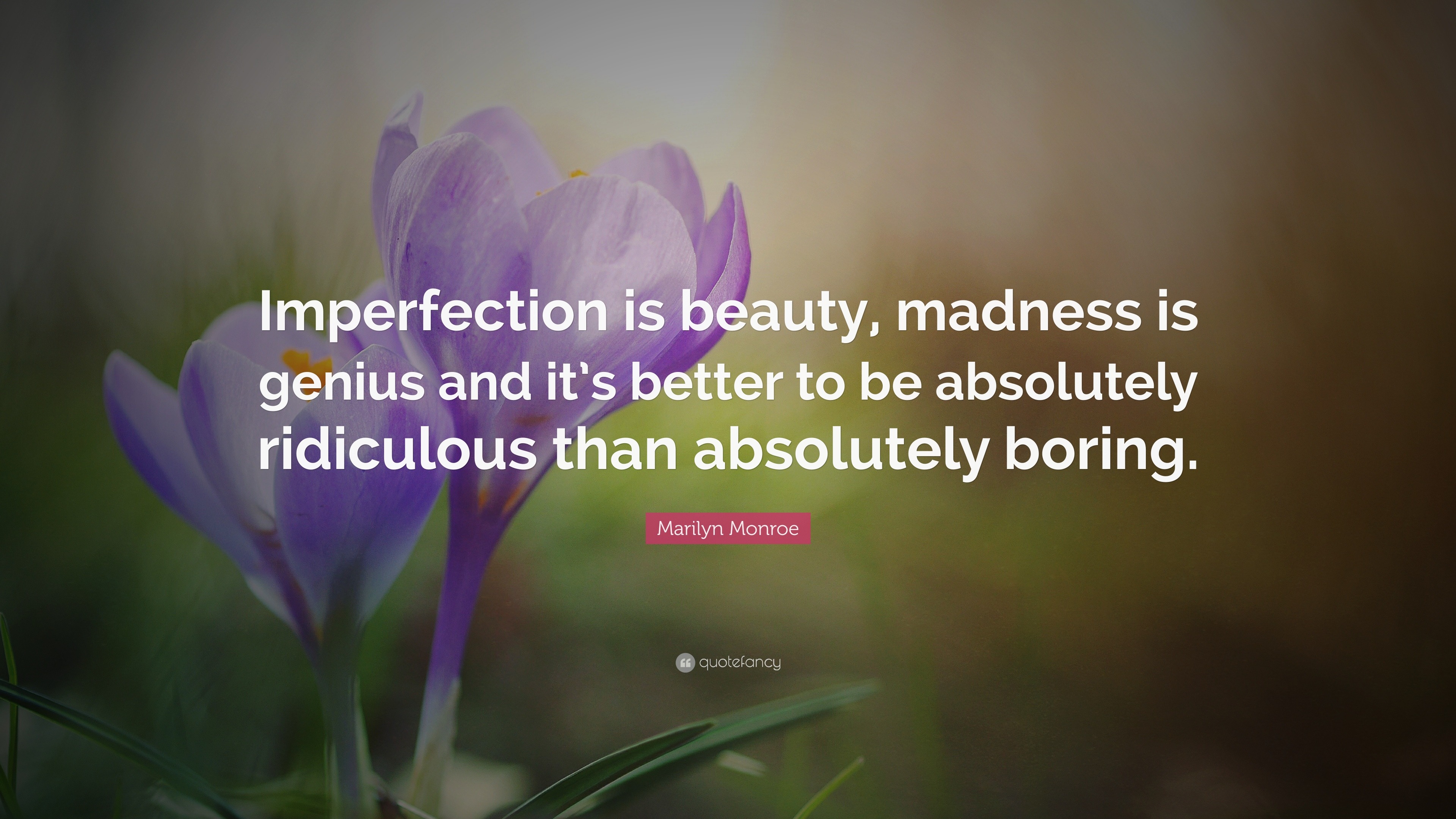 Imperfection Is Beauty Madness Genius And It