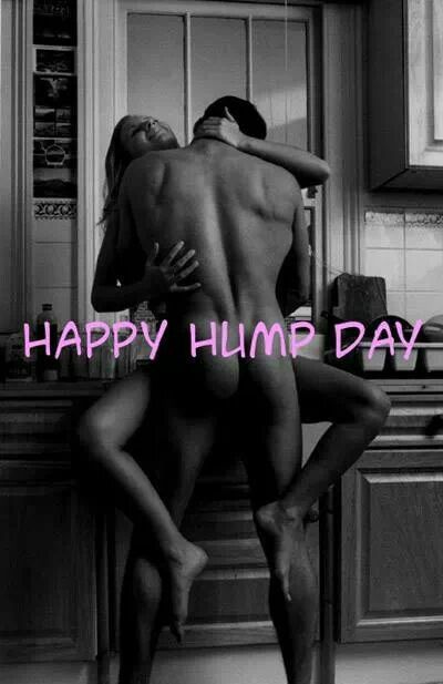 Happy Hump Day Your Favorite Sex