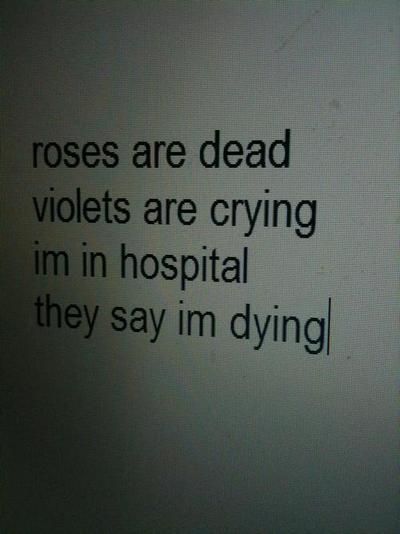 Dead Rotten Are Fu Violets Roses